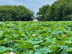 -城隍阁