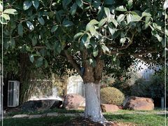 -昆山城市生态森林公园