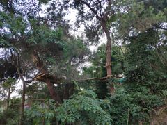 -芦仙山景区-飞越丛林探险乐园