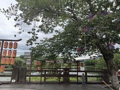 -鸣鹤古镇