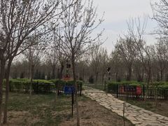 -西青郊野公园