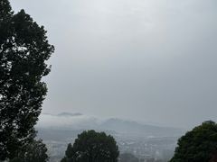 -庐山风景名胜区-东林大佛