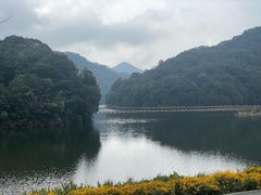 -广州市石门国家森林公园