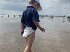-南汇新城海滩
