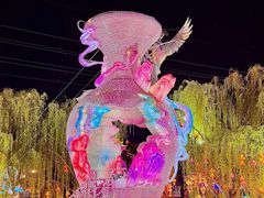 -淄博花灯齐彩城