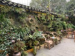 -青城甲(青城山店)