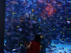 -成都浩海立方海洋公园