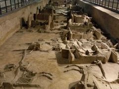 android_upload_pic-洛阳周王城天子驾六博物馆