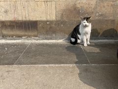 -西园寺素食(西园弄戒幢律寺店)