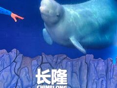 -珠海长隆海洋王国
