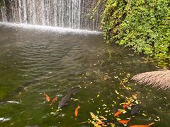 -千岛湖东南湖区