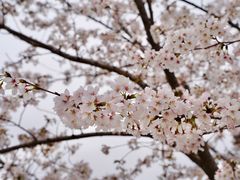 -龙美术馆(西岸馆)