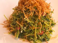 巧拌豆苗-四季民福烤鸭店(前门廊房二条店)