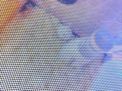 -可爱抓 COCO  GOTCHA(天津鹏欣水游城店)