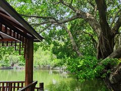 -东莞市可园博物馆