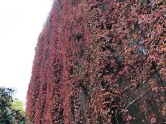 -西安理工大学(金花校区)