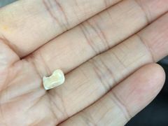 -上海市杨浦区牙病防治所