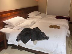 -维也纳国际酒店·西安大雁塔大唐不夜城店