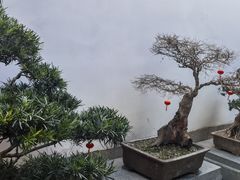 -绮园景区