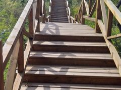 -大岭沟猕猴桃谷风景区