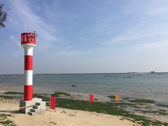 -北海金海湾红树林生态旅游区