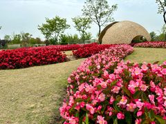 -苏州上方山国家森林公园
