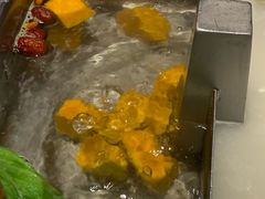 南瓜-海底捞火锅(振华商厦店)