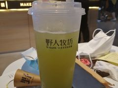 -野人牧坊Gelato(天津南开大悦城店)