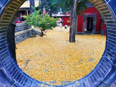 -泰山风景名胜区-普照寺