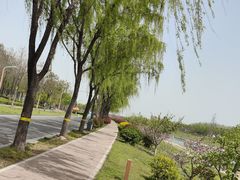 -洨河生态公园