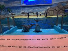 -福州罗源湾海洋世界旅游区