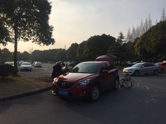 -上海滨江森林公园·停车场