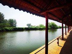 -滕州微山湖红荷湿地景区