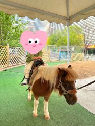 -萌宠亲子动物乐园(槐房万达店)