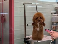 -FAELING PETS美天灵宠物(合生汇店)