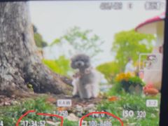 -上海鲜花港