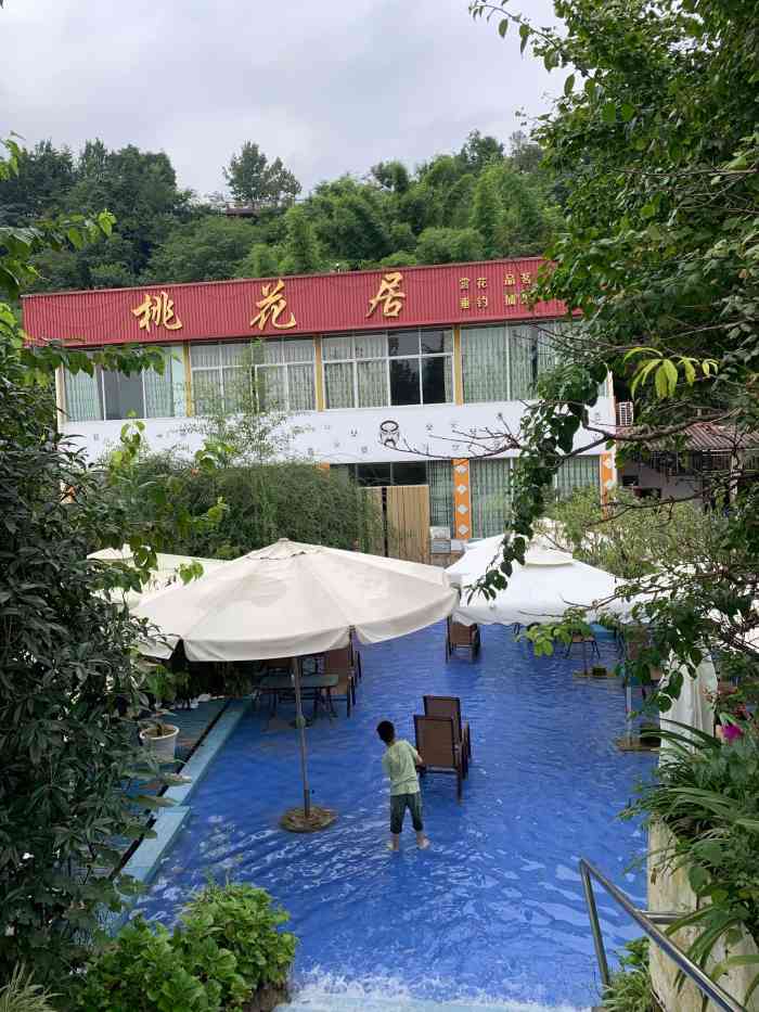 景色肯定是美,桃花粉粉的,桃花居的老板抖音还有很多粉丝