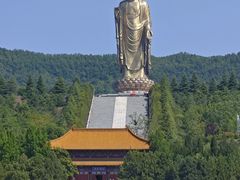 -中原大佛景区