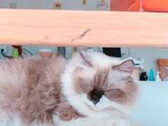 -灯塔咖啡馆BOOK·Coffee Shop