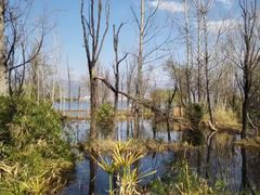 -西昌邛海湿地