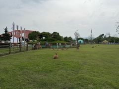 -苏州太湖西山岛开心农场