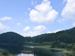 -武陵山森林公园