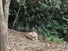 -火炉山森林公园