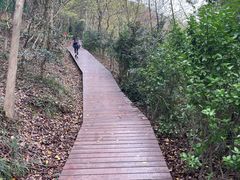 -上海佘山国家森林公园西佘山园