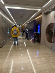 -曼格纳婚礼艺术中心(张江店)