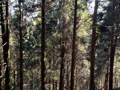 -南岳衡山风景名胜区