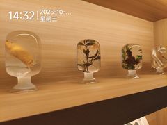 -现代汽车文化中心 Hyundai Motorstudio Beijing