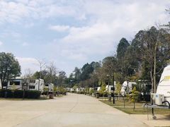 -美的鹭湖森林度假区