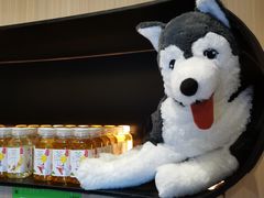 -涨巢·潮玩水疗局