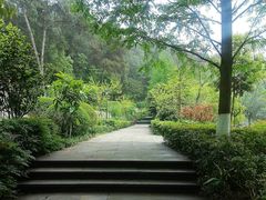 -铁山坪森林公园